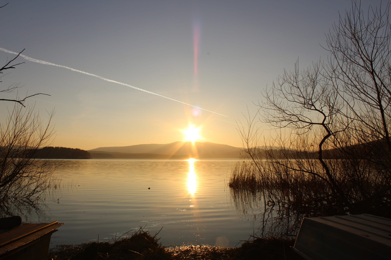 tranquil scene, plant, scenics - nature, sunset, water, sunlight, sun, south bohemia, reflection, lipno, tree, outdoors, beauty in nature, silhouette, no people