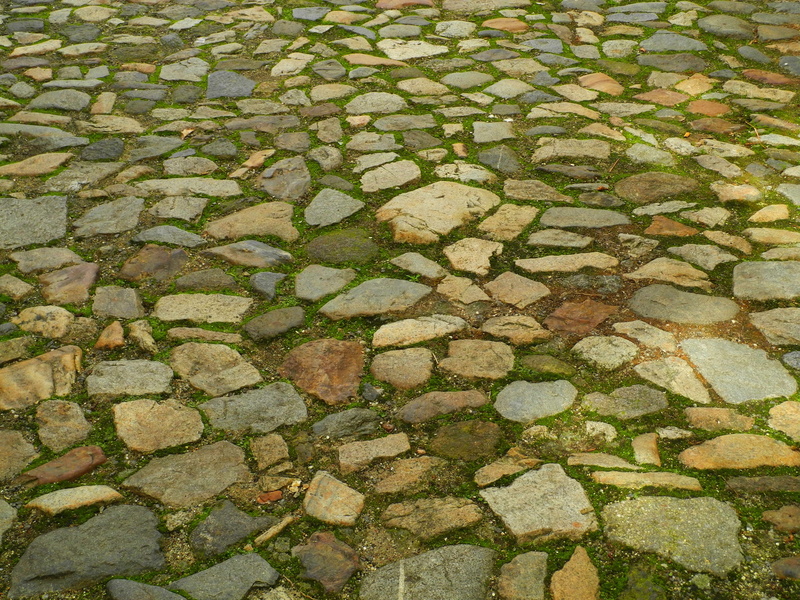 solid, 2K, design, moss, czech republic, green color, paving stone, Paving, day, trail, south bohemia, high angle view, footpath, no people, backgrounds