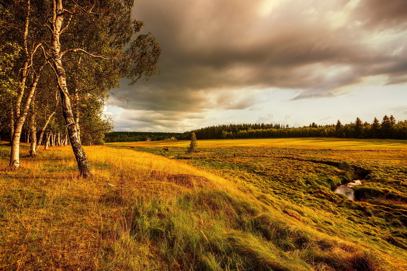 autumn, 2K, trees, The ústí nad labem region, Bohemia, field, Border