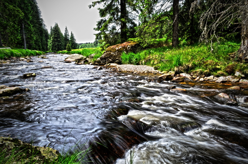 non-urban scene, River, Water, šumava, land, dirty, flowing, south bohemia, Landscape, day, tranquility, tree, stream - flowing water, outdoors, beauty in nature