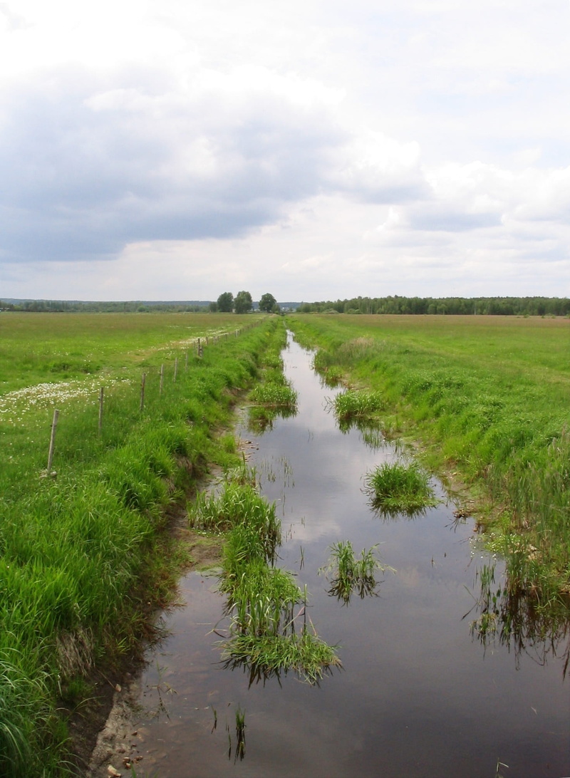 beauty in nature, south bohemia, cloud - sky, Moor, wetland, land, day, Bach, Nature, rural scene, canal, field, dig, plant, Landscape, moor, sky, no people