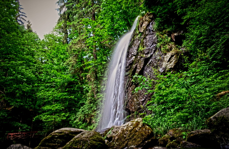plant, rainforest, trees, flowing Water, flowing, long exposure, outdoors, Waterfall, rock, Water, south bohemia, beauty In Nature, stream, lush foliage