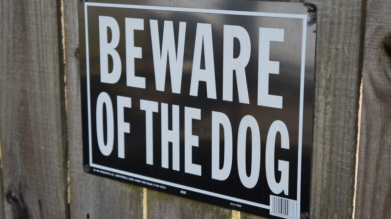 retail, placard, sign, communication, social issues, no people, focus on foreground, information, hanging, close-up, wood - material, dog, warning, capital letter
