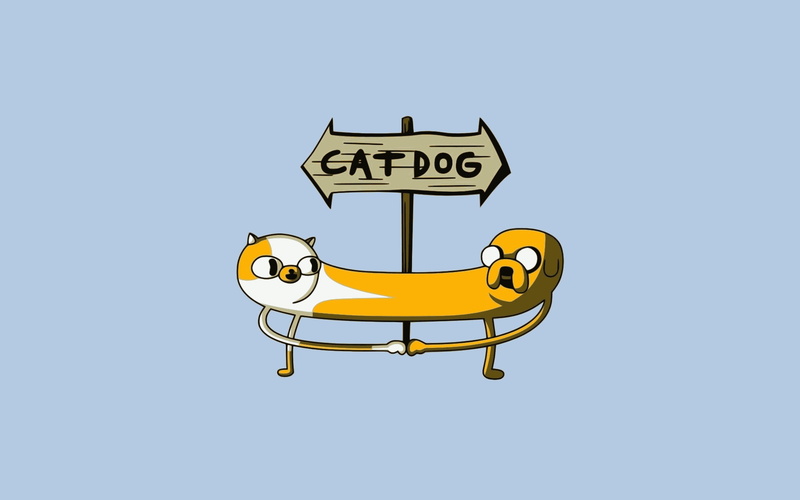 painted Image, jake, 1080P, cheerful, animal, western script, digitally Generated Image, yellow, information sign, dog, cat, transportation, isolated