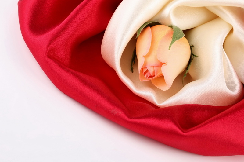 food and drink, flower, indoors, food, white color, rag, silk, fabric, textured, satin, fashion, love, directly above, textile, beige, rose, symbol, softness