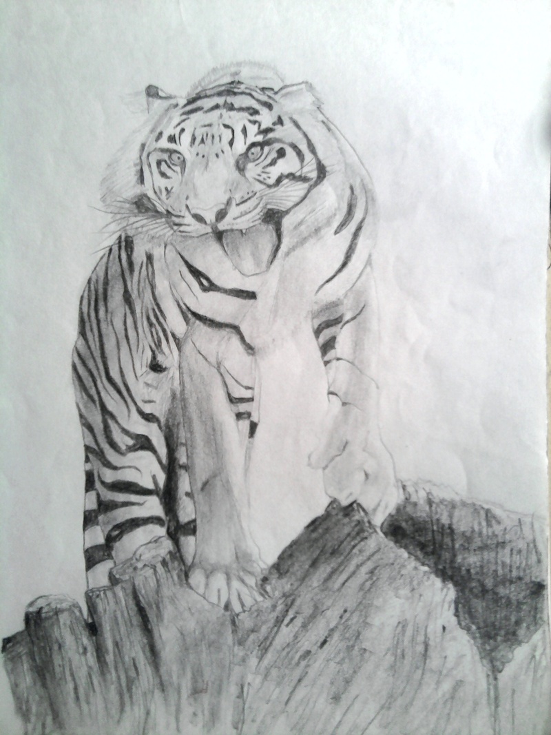 draw, male likeness, art, statue, shading, architecture, carving, feline, tiger, creativity, artwork, religion, art and craft, 1080P, artistic, craft