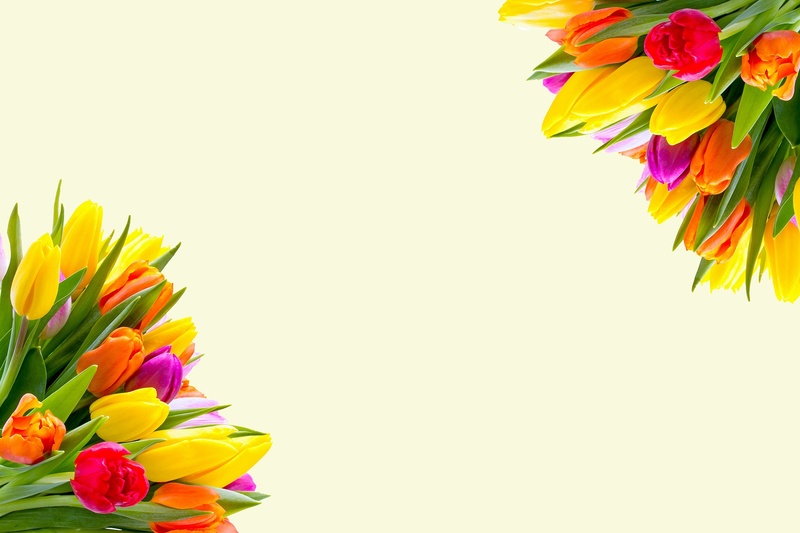 copy space, flower bouquet, flower arrangement, spring flowers, card, bouquet, spring, backgrounds, image, decorative, bouquet of flowers, border, flower