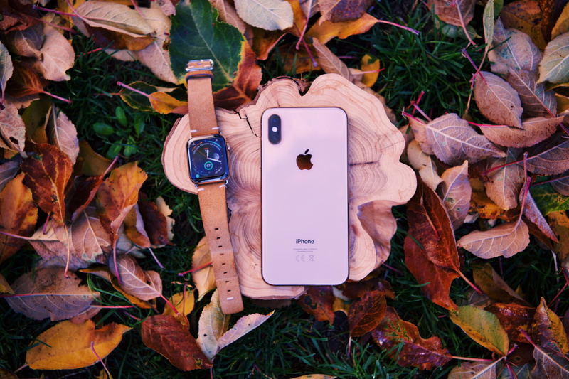 human representation, iphone, high angle view, field, tech, leaf, apple, fall, dry, no people, plant, directly above, day, 8K, land, technology, nature