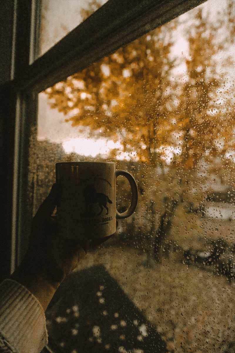 morning, window, photographing, autumn, glass - material, rainy day, transparent, unrecognizable person, coziness, real people, home, hand, fall, activity