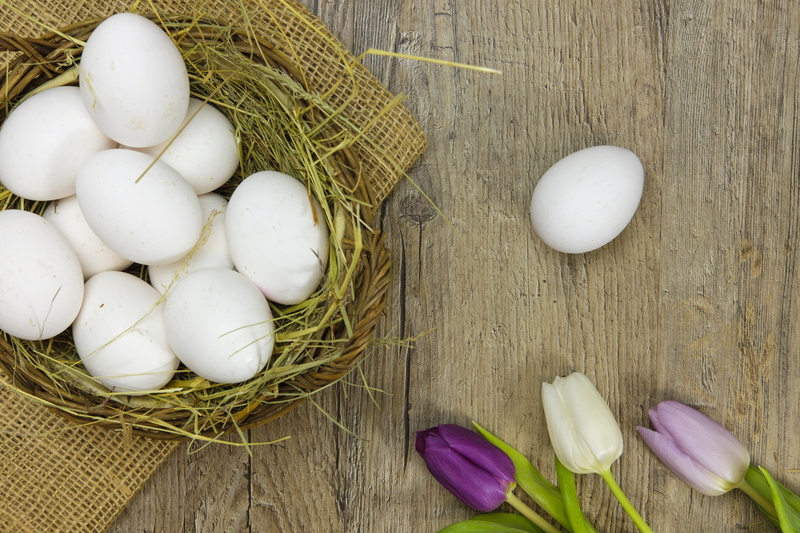 5K, tulips, colorful, indoors, purple, beside, flowers, food and drink, food, healthy eating, high angle view, eggs, freshness, table, colorful eggs, fragility