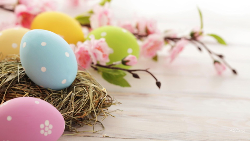 pink, eggs, colored, egg, yellow, straw, easter, gold, blue, nest, sakura, pastel, simple, 1080P, nature and landsca, spring, cherry blossoms