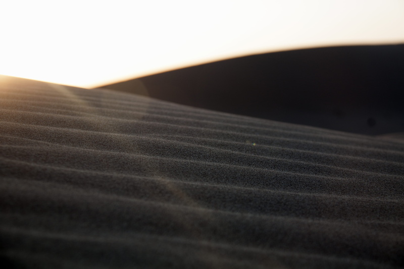 close-up, record, untitled, texture, landscape, agriculture, backgrounds, musical instrument, outdoors, ripple, string instrument, sand, paper, ISFAHAN