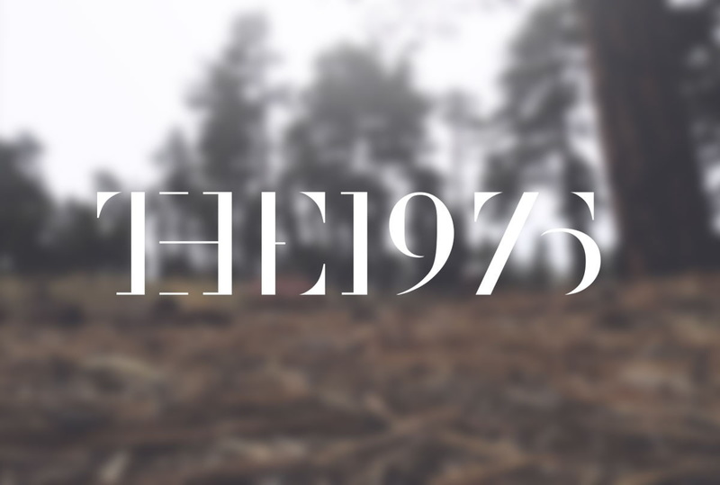 rock bands, sound, grunge, 480P, The 1975, forest, rock