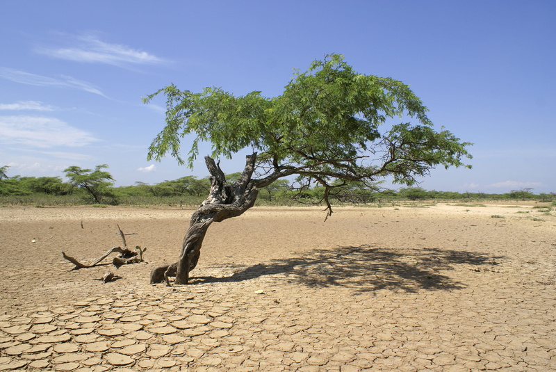 non-urban scene, environment, sand, la otra banda, desert, carora, nature, tranquility, sky, beauty in nature, venezuela, scenics - nature, sunlight, 2K