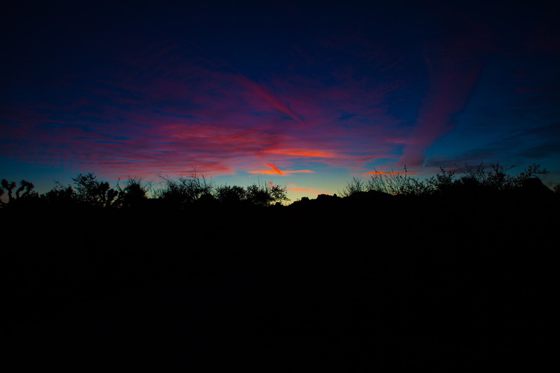 landscape, 4K, Joshua Tree National Park, sunset, evening