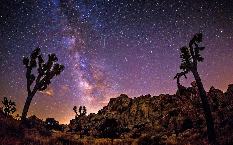 Joshua Tree, Earth, Desert, Stars, National Park, Tree, Sky, Joshua Tree National Park, Night, Milky Way, 1080P, Starry Sky