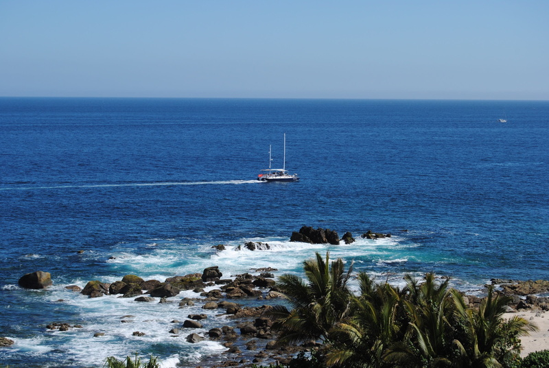 nautical vessel, mode of transportation, white, Sea Of Cortez, 2K, coast, day, Ocean, water, floating, palm trees, blue, sailboat, tranquility, scenics - nature