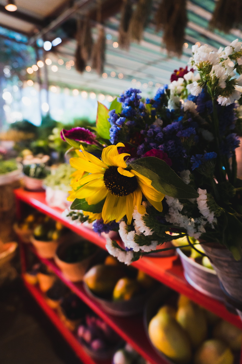 freshness, flower, mexico, market, colorful, flower arrangement, growth, flowers, petal, fragility, focus on foreground, bouquet, selective focus, flower pot
