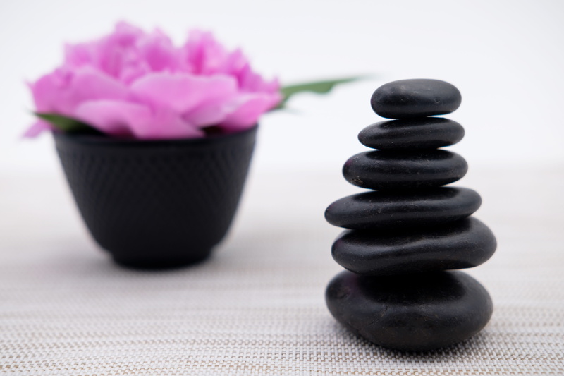 coupon, plant, stones, relaxation, pink color, close-up, stone, simplicity, studio shot, cairn, indoors, 5K, peony, black, pebble, flowering plant, map