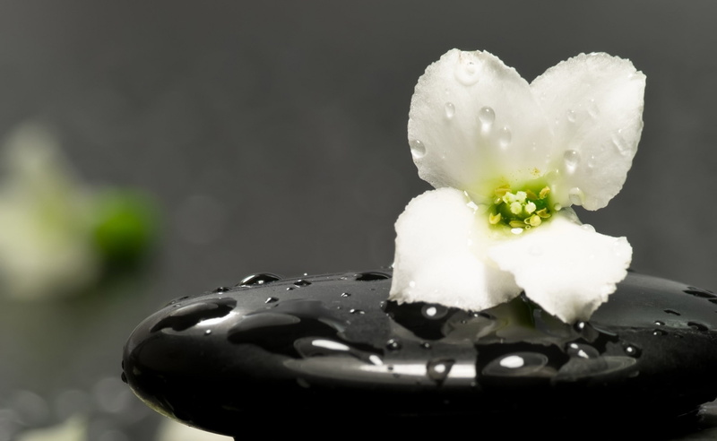 dairy product, ready-to-eat, Stones, studio shot, petaled, indoors, zen, white, massage, sweet, temptation, french food, dessert, food, water, stone, black