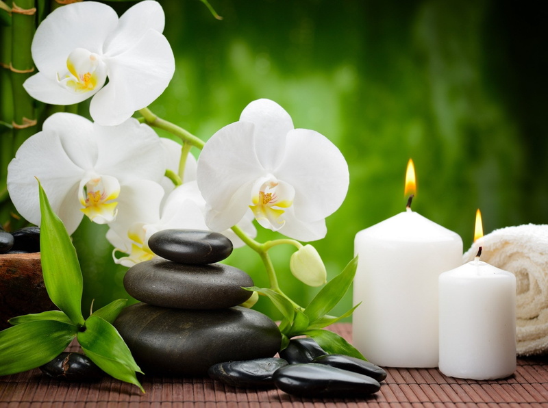 leaf, flowering plant, solid, petal, focus on foreground, pebble, white color, nature, flower, plant, 1080P, tranquil scene, relaxation, Candle, Orchid