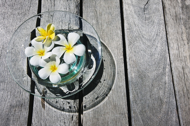 frangipani, inflorescence, high angle view, vulnerability, beauty in nature, full screen, flower, white, close-up, Board, flowering plant, widescreen