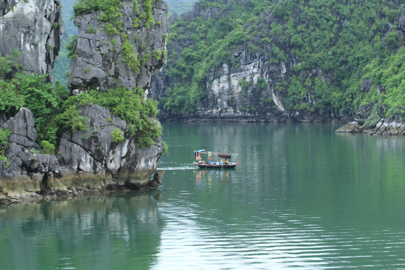 beauty in nature, mountain, travel, nature, tranquility, vietnam, transportation, tranquil scene, water, day, solid, waterfront, plant, halong bay, 4K