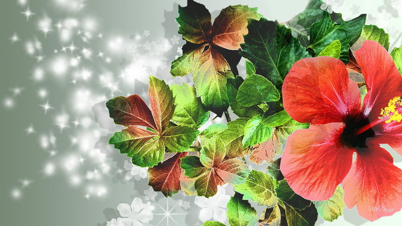 green, bright, flowers, stars, 3d and abstract, scattering, leaves, spring, blossom, 1080P, glow, summer