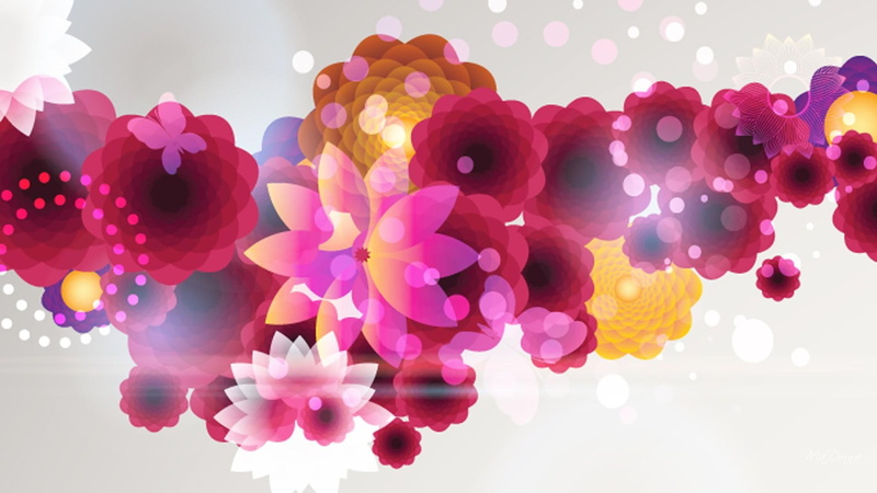 floral, nature and landscapes, summer, lights, colorful, bokeh, spring, scattered, ii, bright, extravaganza, 1080P, abstract, flowers