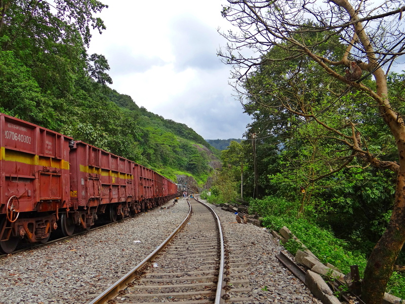 growth, no people, green color, mode of transportation, transportation, outdoors, train - vehicle, diminishing perspective, day, 4K, tree, direction, western ghats
