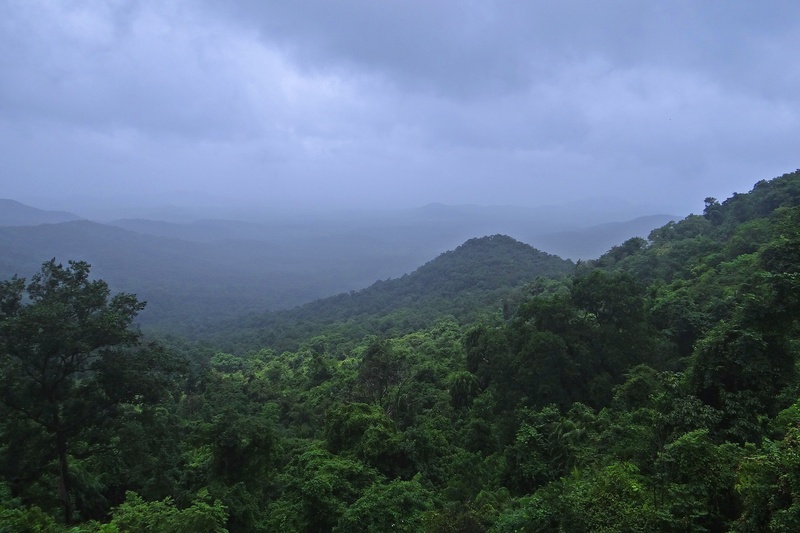 lush foliage, no people, western ghats, environment, goa, cloud - sky, clouds, mountain, forest, vegetation, scenics - nature, green color, non-urban scene