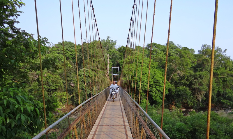shalmala, non-urban scene, suspended, suspension, nature, crossing, scenics, footbridge, tree, western ghats, bridge - man made structure, beauty in nature