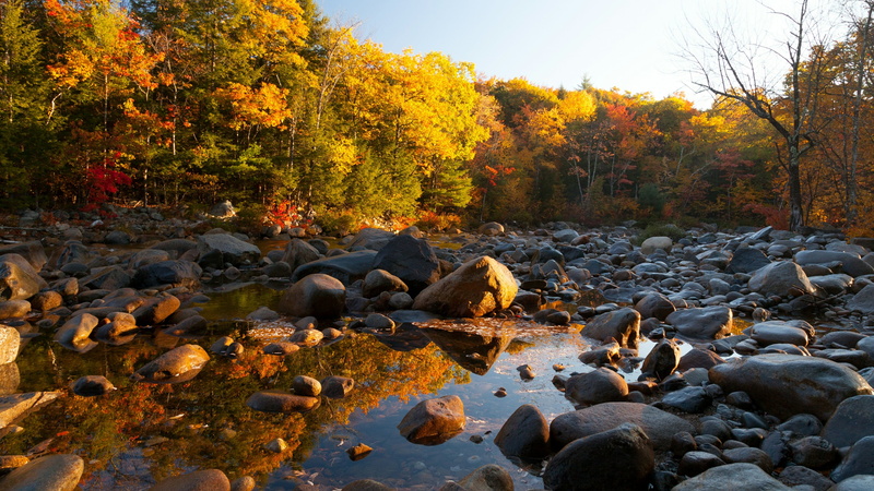 water, tranquility, change, river, leaves, stream - flowing water, flowing water, pebble, autumn, solid, stone, flowing, reflection, tree, day, 4K, forest