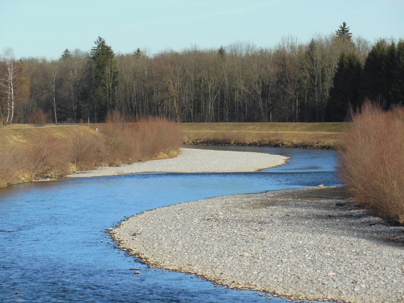lake, river, spring, grass, nature, water, no people, land, beauty in nature, forest, gravel bed, outdoors, non-urban scene, tranquility, sky, tree, gravel bank