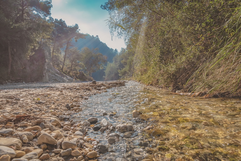 rock - object, rays, sunlight, forest, outdoors, sky, tranquil scene, stream - flowing water, nature, rock, plant, water, flowing, scenics - nature, flowing water