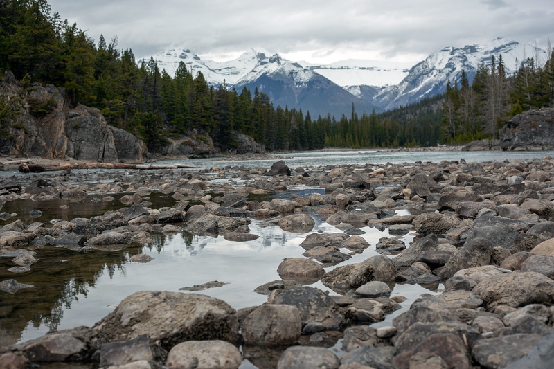 flowing, mountains, gravel bed, trees, mountain landscape, winter, flowing water, cold temperature, tree, season, tranquility, landscape, mountain, stream - flowing water