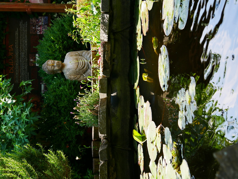 sunlight, lily pad, radlett, animal, vegetable, united kingdom, green color, peace, buddah statue, no people, pond, bhaktivedanta manor - hare krishna temple