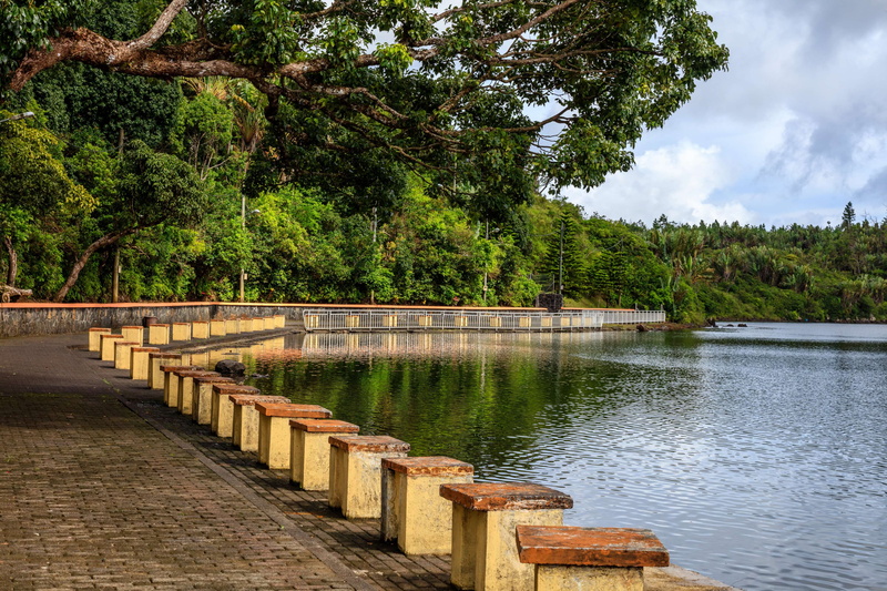 green color, tree, footpath, 4K, mauritius, scenics - nature, built structure, ganga taiao, non-urban scene, growth, day, tranquility, water, no people