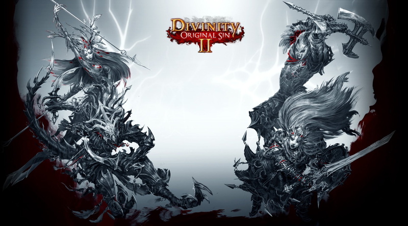 Video Game, Divinity: Original Sin II, 1080P