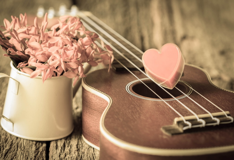 arts culture and entertainment, pink color, ukelele, romance, indoors, brown, love, string instrument, acoustic Guitar, red, pink, musical Instrument String