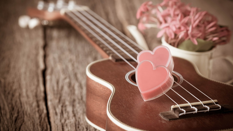 scented, photography, selective, two, pink, ukulele, soaps, Valentines Day, wooden, romantic, guitar, love, tabletop, heart, 5K, flowers, focus, brown