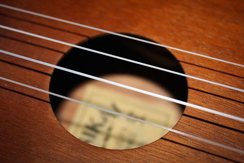 colored background, brown, wood, instrument, close-up, sound, ukulele, indoors, uke, sport, play, acoustic, strings, audio, musical instrument, musical instrument string