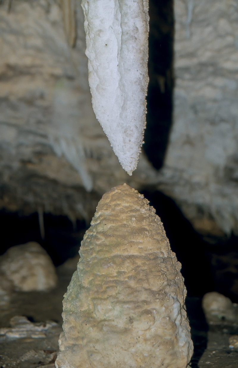 stalactite, tree, growth, top, winter, geology, focus on foreground, solid, beauty in nature, white color, textured, tranquility, 2K, cold temperature