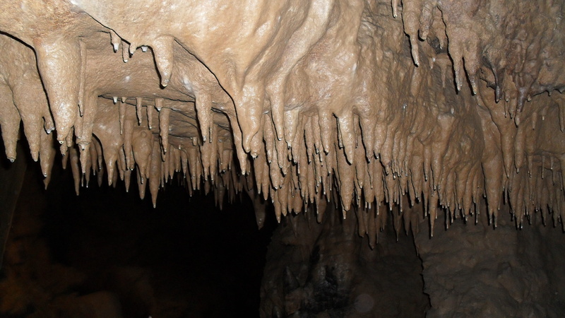 dripping cave, textured, nature, solid, calcium carbonate, 2K, rock, cold temperature, rough, stalactite, tree, brown, hanging, underground, day, stalagmite