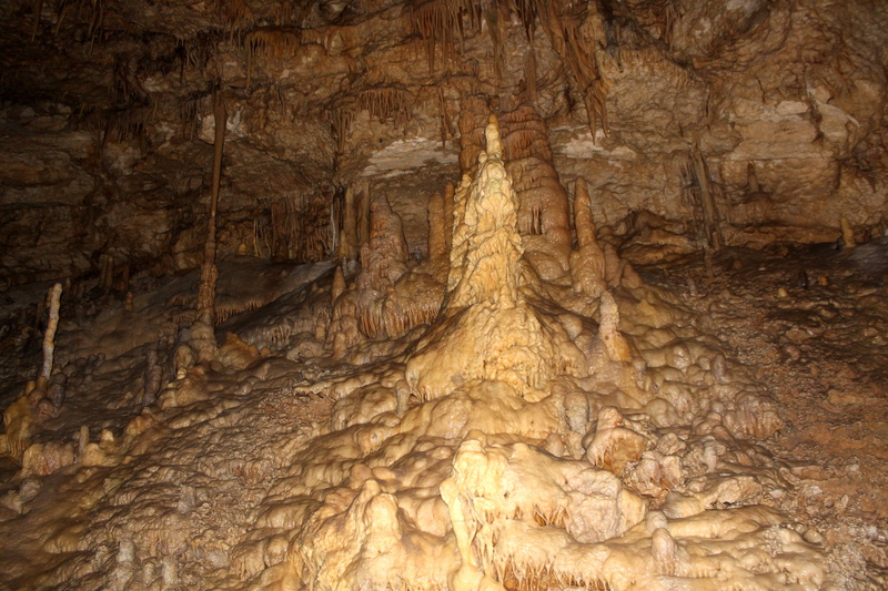 rock, day, rough, sandstone, tree, beauty in nature, excursion, natural pattern, solid, close-up, textured, rock - object, nature, stalagmites, stalactite