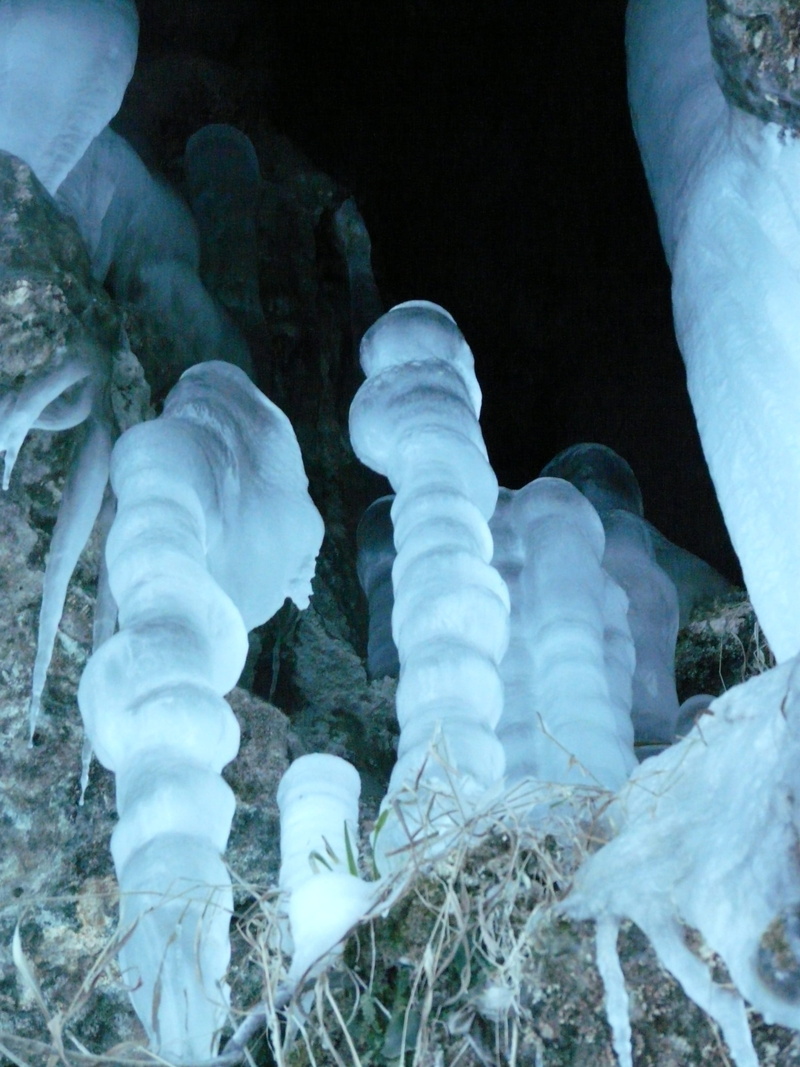 field, cave, frozen, ice formations, animal themes, winter, plant, day, ice tropfsteine, nature, cold, cold temperature, close-up, sea, stalagmites, wintry