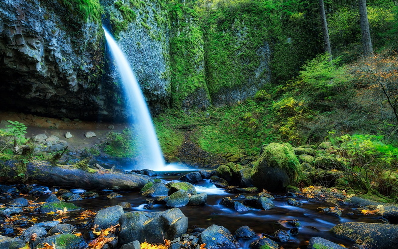 Trees, States, United, 1080P, Rocks, Waterfall, Forest, Oregon