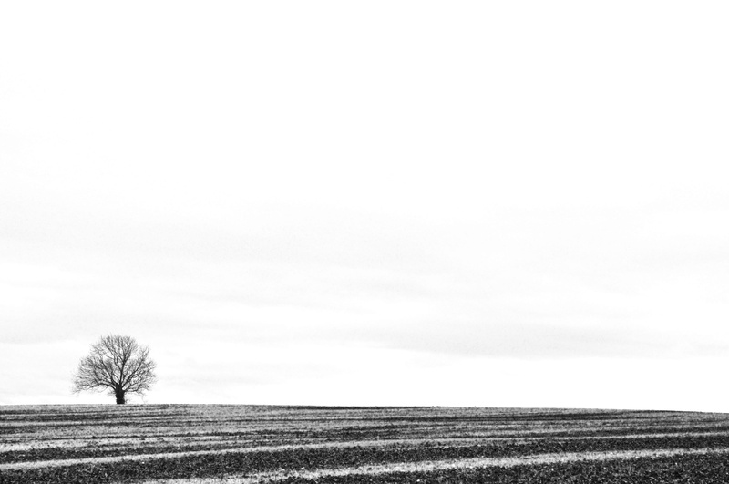 isolated, black-and-white, tranquility, day, blackandwhite, united kingdom, black/white, greyscale, black n white, scenics - nature, black and white, minimalism