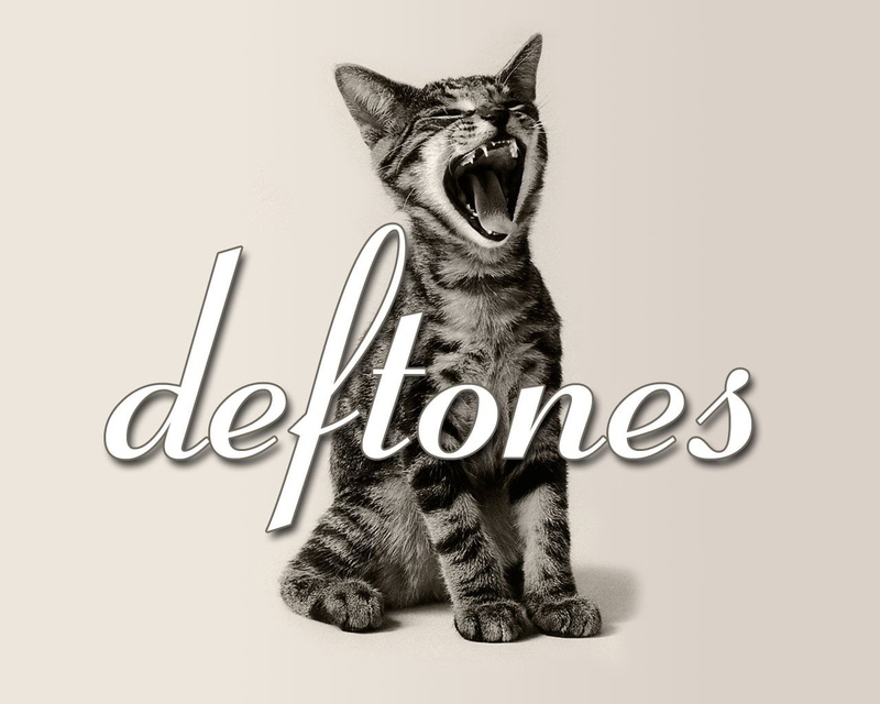 720P, cat, silver, tabby, Band (Music), Deftones
