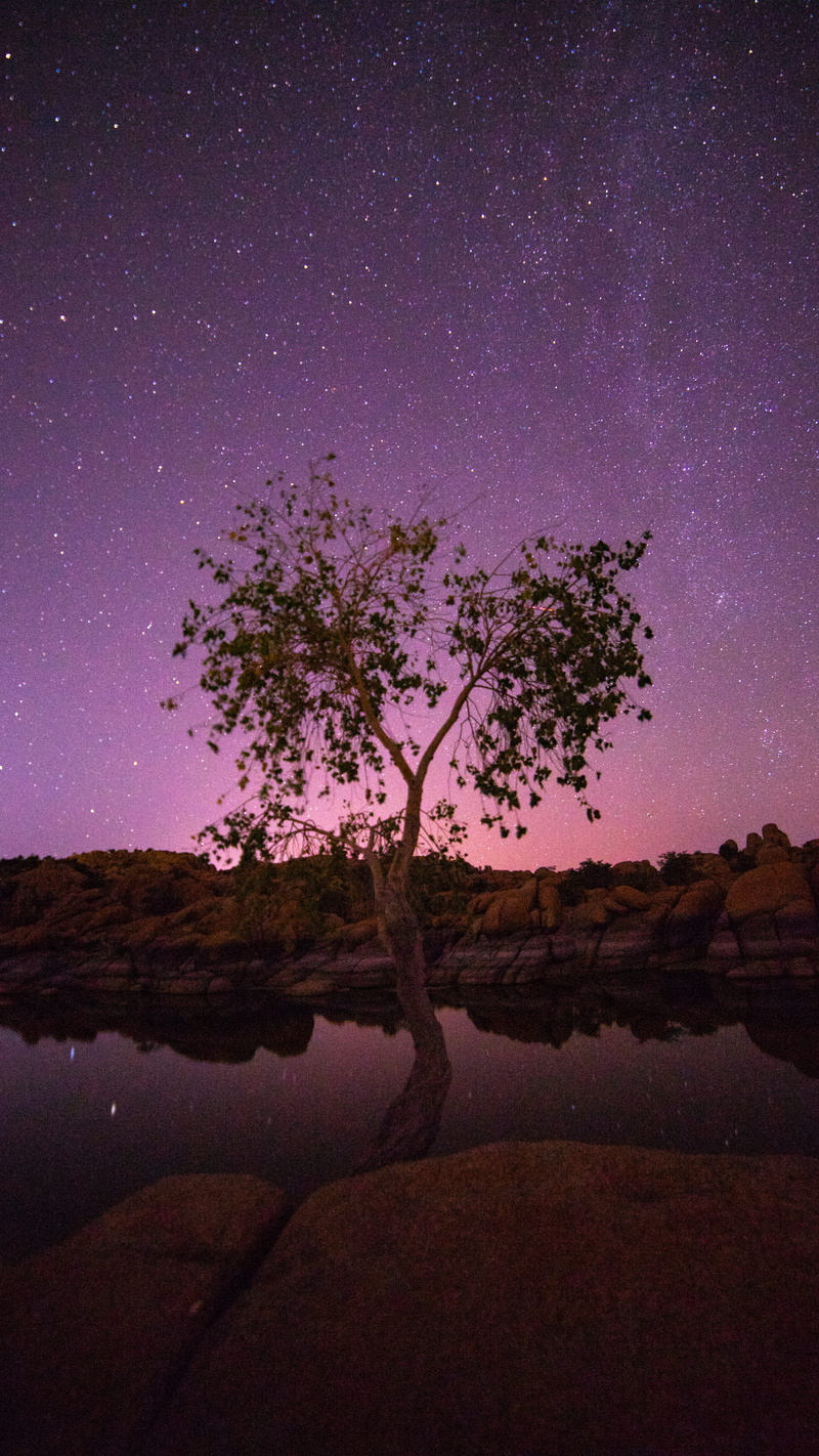 star, watson lake, galaxy, outdoors, wildlife, purple sky, night photography, meteor, blue, arizona, astronomy, water, light - Natural Phenomenon, star - Space